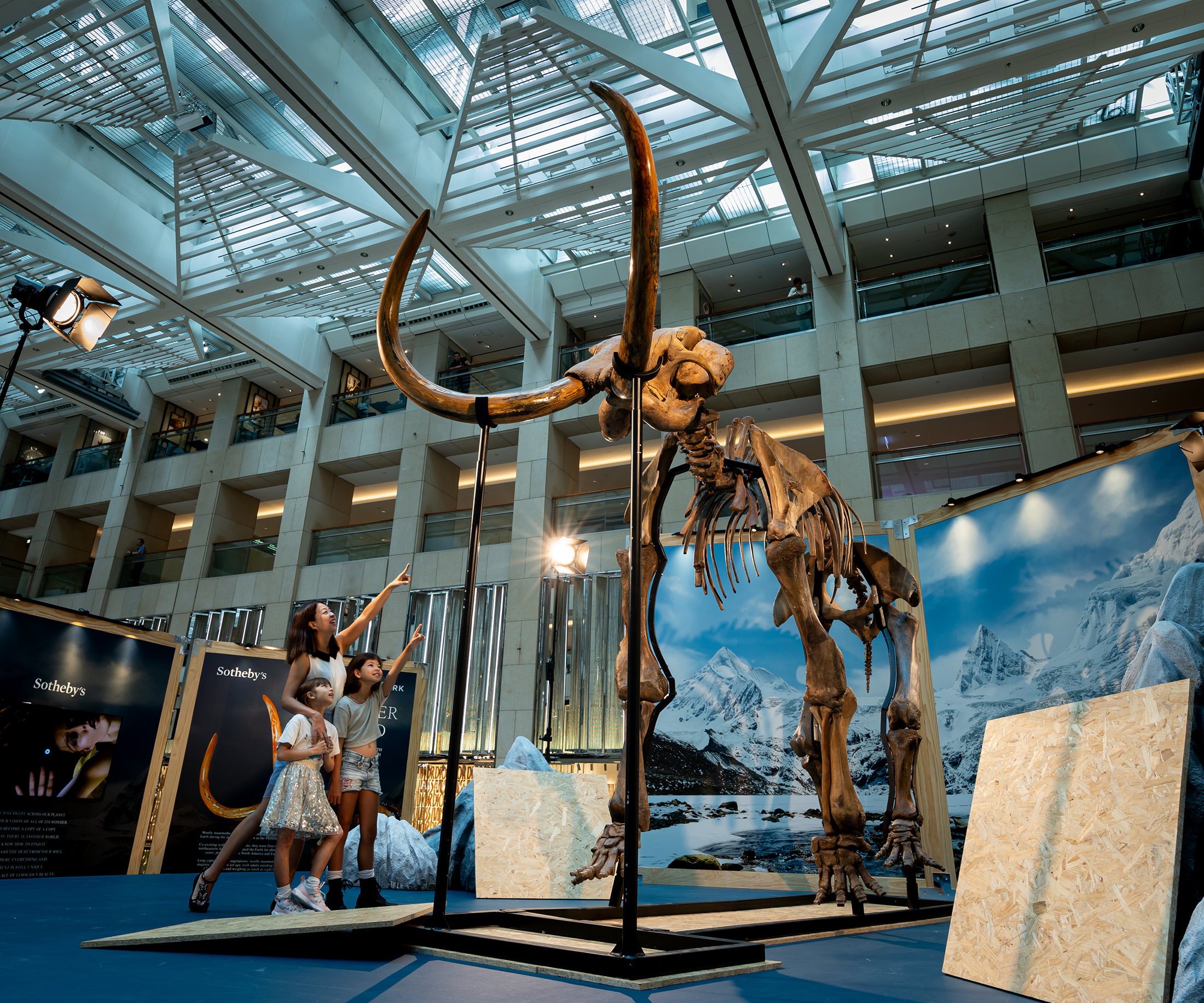 Sothebys unveils a rare and complete 12,000-year-old woolly mammoth skeleton, mammuthus primigenius, Siberia, Russia, late Pleistocene at LANDMARK ATRIUM as part of Sothebys Another World Exhibition from 15  29 August